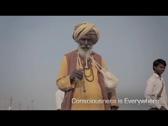 Consciousness is Everywhere | Сознание — везде