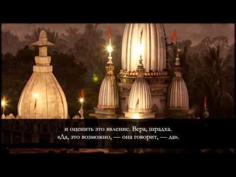 Капли нектара | Одобрение сердца | Вера выше расчета