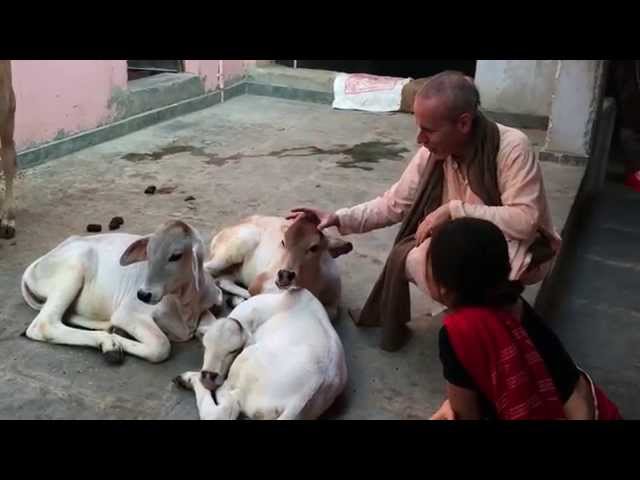 5/108 | Parikrama to Radha Damodar Mandir