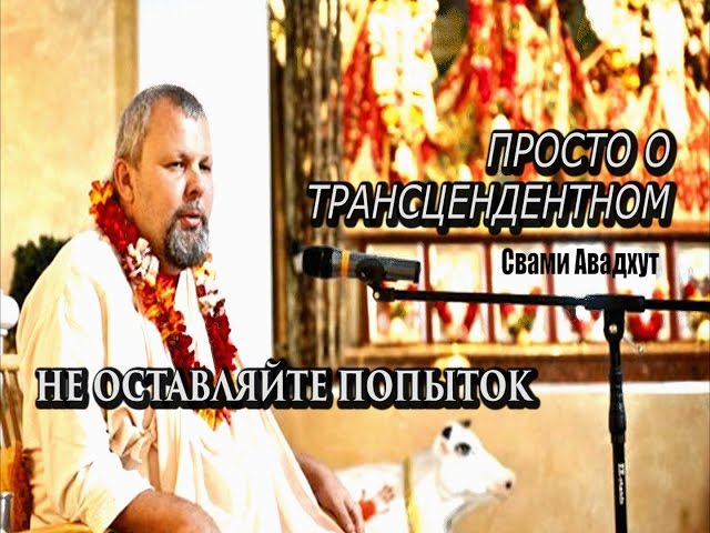 Не оставляйте попыток