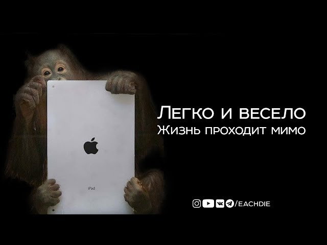 Легко и весело | Жизнь проходит мимо