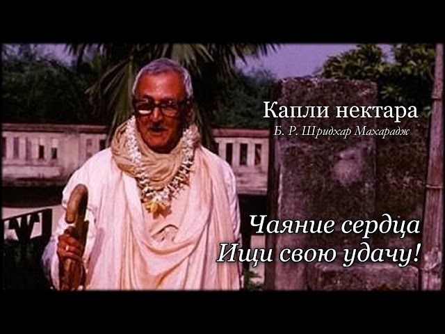 Чаяние сердца | Ищи свою удачу!
