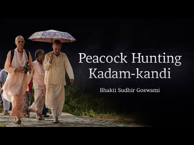 Peacock Hunting | Kadam-kandi — Srila Bhakti Sudhir Goswami Maharaja