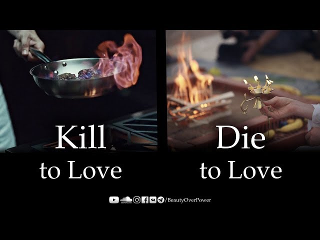 Kill to Love | Die to Love