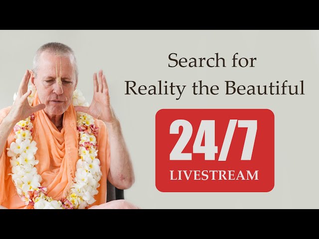 Search for Reality the Beautiful LIVESTREAM 24/7