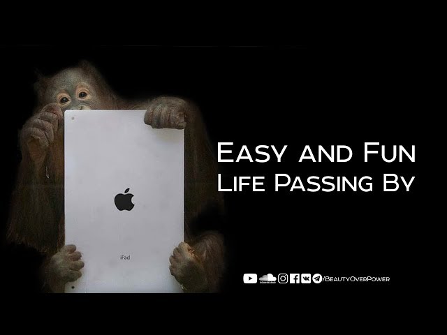 Easy and Fun | Life Passing By