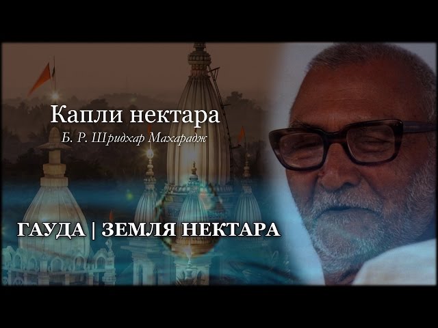 Гауда | Земля нектара
