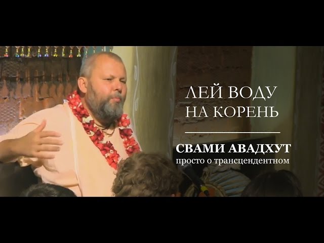 Лей воду на корень