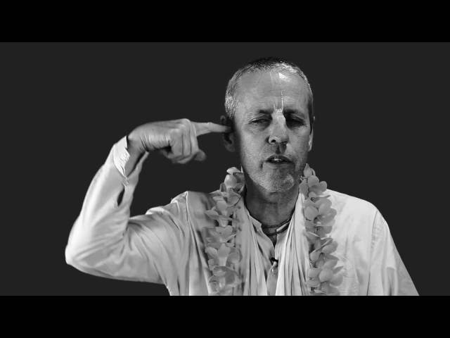 The Search for Happiness | The Beginning