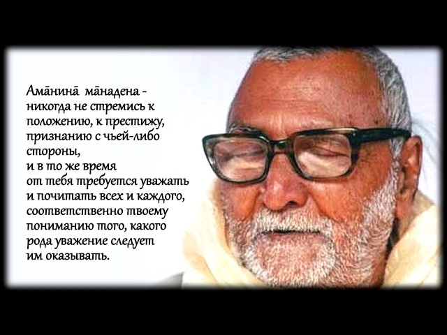 Шикшаштака: почитай всех и не стремись к престижу