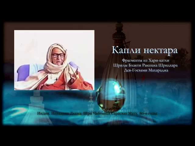 Капли нектара | Потребность в Шри Гурудеве