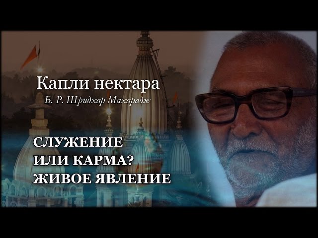 Служение или карма? | Живое явление