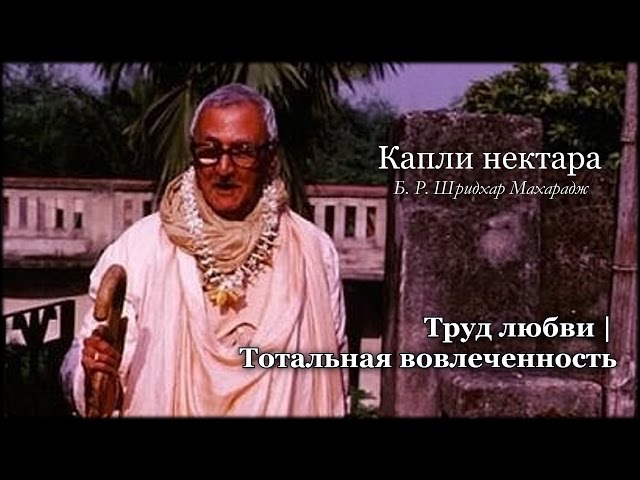 Труд любви | Тотальная вовлеченность