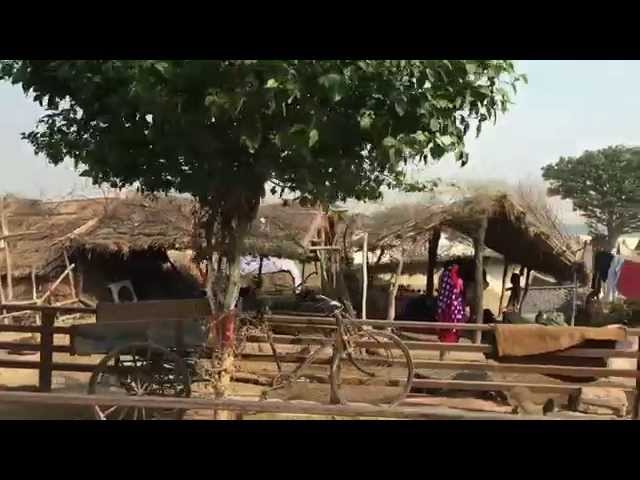 12/108 | Banshi Vat