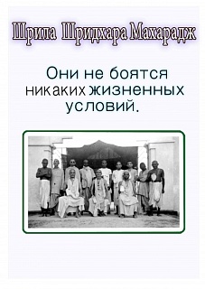 Они не боятся любых жизненных условий