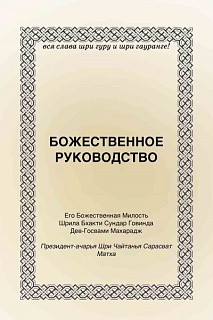 Божественное руководство